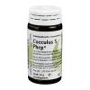 Cocculus S Phcp Globuli, 20 g