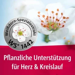 Crataegutt® 450 mg Herz-Kreislauf-Tabletten, 100 St