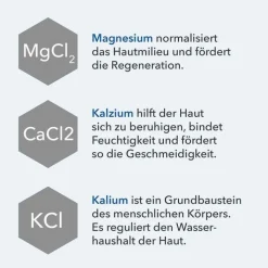 Dermasel Totes Meer Duschgel Fresh Ocean limited Edition, 100 ml