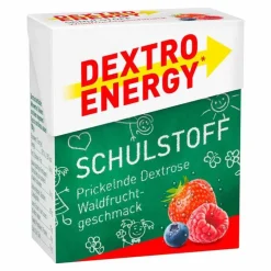 Dextro Energy Schulstoff Waldfrucht Täfelchen, 50 g