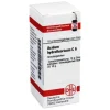 DHU Acidum hydrofluoricum C 6 Gl, 10 g