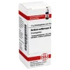 DHU Acidum sulfuricum D 30 Globuli, 10 g