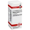 DHU Adlumia Fungosa D 12 Globuli, 10 g