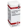 DHU Aesculus C 30 Globuli, 10 g