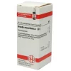 DHU Arundo mauritanica D 6 Globuli, 10 g