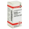 DHU Bismutum Subnitricum C 30 Gl, 10 g