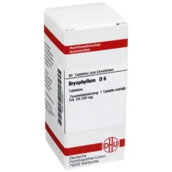 DHU Bryophyllum D 6 Tabletten, 80 St