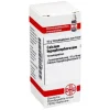 DHU Calcium hypophosphorosum D 1, 10 g