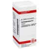 DHU Cardiospermum D 4 Tabletten, 80 St