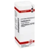 DHU Chelidonium D 6 Dilution, 20 ml