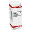 DHU Corallium rubrum D 6 Dilution, 20 ml