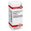 DHU Echinacea HAB C 6 Globuli, 10 g