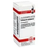 DHU Echinacea purpurea D 4 Globuli, 10 g