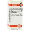 DHU Equisetum arvense D 30 Globuli, 10 g
