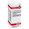 DHU Equisetum hiemale D 12 Globuli, 10 g