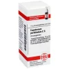 DHU Eupatorium perfoliatum C 6 G, 10 g