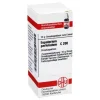 DHU Eupatorium perfoliatum C 200, 10 g