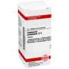 DHU Eupatorium perfoliatum D 6 Tabletten, 80 St