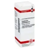 DHU Eupatorium purpureum D 6 Dilution, 20 ml