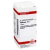 DHU Euphrasia D 2 Tabletten, 80 St