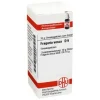 DHU Fragaria vesca D 6 Globuli, 10 g
