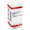 DHU Graphites D 6 Tabletten, 80 St