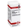 DHU Kalium phosphoricum C 6 Globuli, 10 g