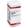 DHU Magnesium chloratum D 4 Tabletten, 80 St