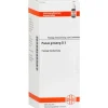 DHU Panax Ginseng D 3 Dilution, 20 ml
