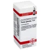 DHU Panax Ginseng D 6 Globuli, 10 g
