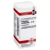 DHU Petroleum rectificatum C 12 Globuli, 10 g