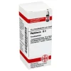DHU Phytolacca D 2 Globuli, 10 g