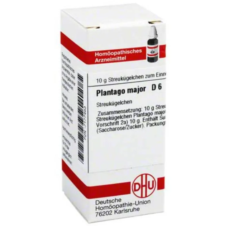 DHU Plantago Major D 6 Globuli, 10 g