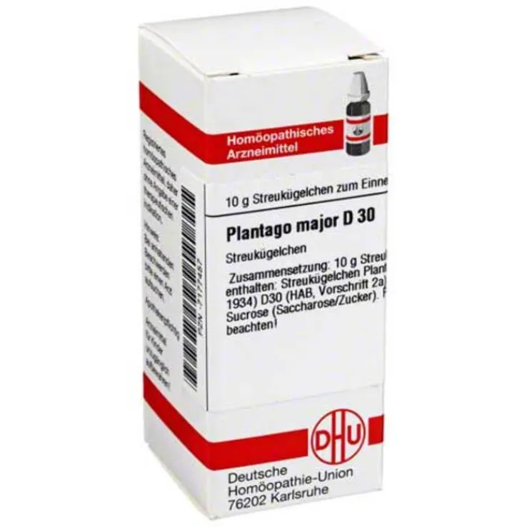 DHU Plantago Major D 30 Globuli, 10 g