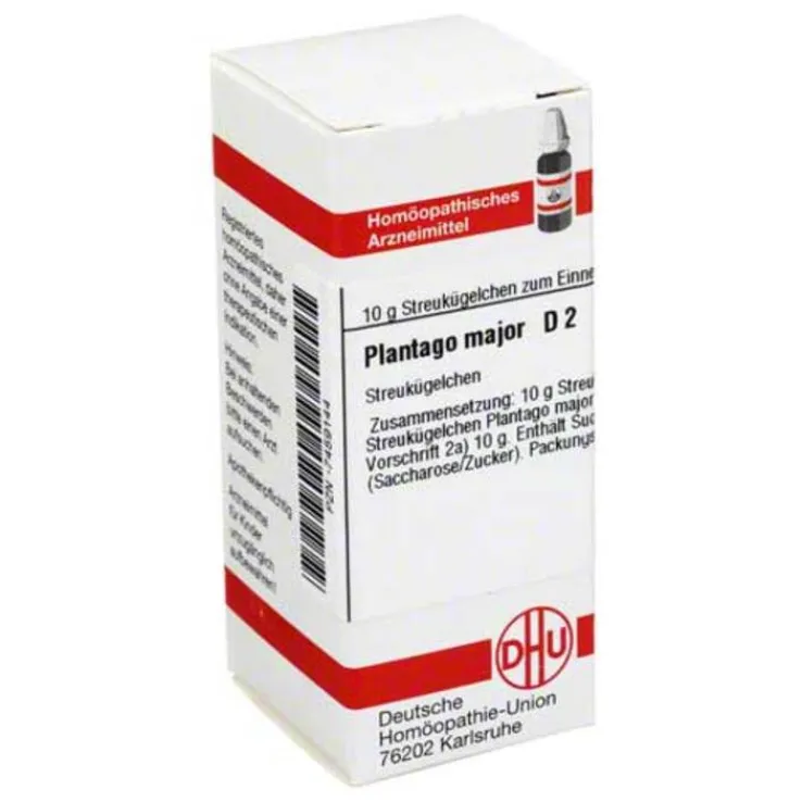 DHU Plantago Major D 2 Globuli, 10 g