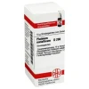 DHU Platinum metallicum D 200 Globuli, 10 g