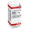 DHU Plumbum metallicum C 200 Globuli, 10 g