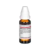 DHU Ranunculus Bulbosus D 6 Dilution, 20 ml