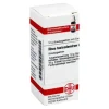 DHU Rhus toxicodendron C 5 Globuli, 10 g