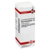 DHU Rhus toxicodendron D 6 Dilution, 20 ml