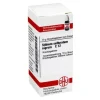 DHU Stibium sulfuratum nigrum C 12 Gl, 10 g