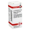 DHU Vespa Crabro D 12 Globuli, 10 g