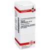 DHU Zincum valerianicum D 12 Dilution, 20 ml