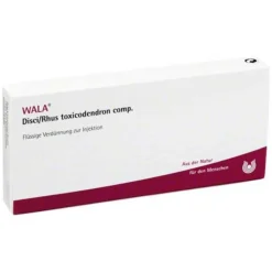 Disci / Rhus toxicodendron comp. Ampullen, 10X1 ml