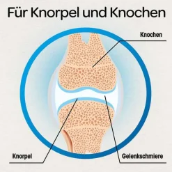 Dr. Böhm Knorpel & Knochen Tabletten, 120 St