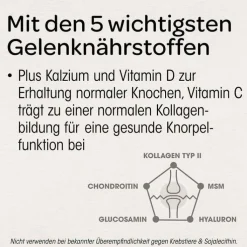 Dr. Böhm Knorpel & Knochen Tabletten, 120 St