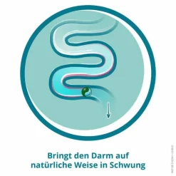 DulcoSoft® PLUS Sachets, 20 St