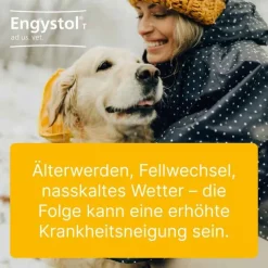 Engystol® ad us. vet. Tabletten, 100 St