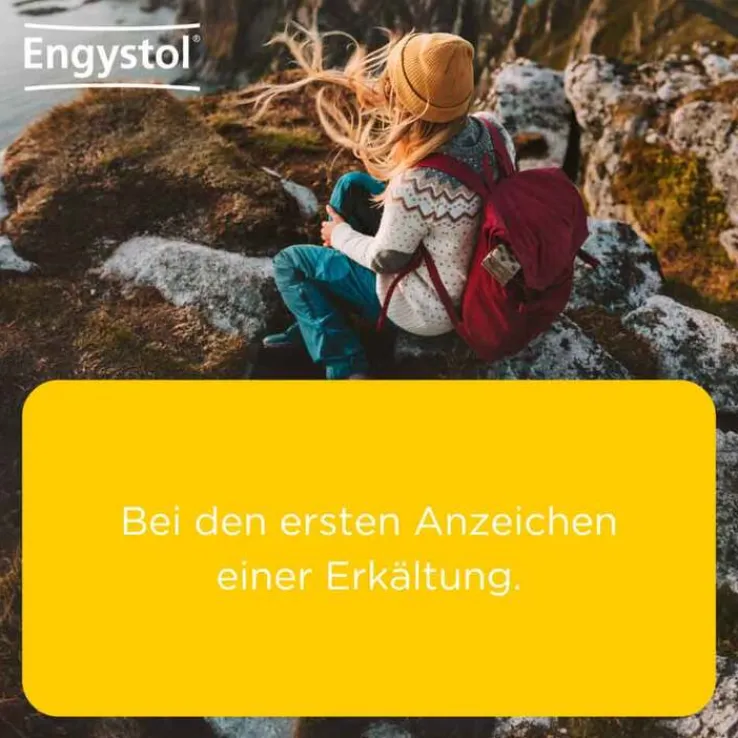 Engystol® Tabletten, 250 St