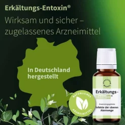 Erkältungs Entoxin Tropfen, 20 ml